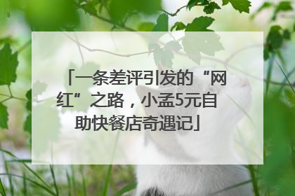 一条差评引发的“网红”之路，小孟5元自助快餐店奇遇记