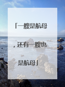 一艘是航母，还有一艘也是航母