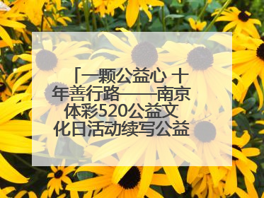 一颗公益心 十年善行路——南京体彩520公益文化日活动续写公益新篇章