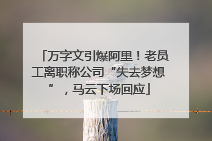 万字文引爆阿里！老员工离职称公司“失去梦想”，马云下场回应