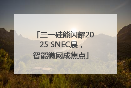 三一硅能闪耀2025 SNEC展，智能微网成焦点
