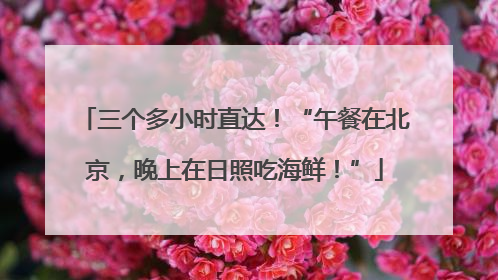三个多小时直达！“午餐在北京，晚上在日照吃海鲜！”