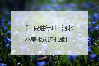 三夏进行时丨河北小麦收获近七成
