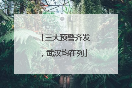 三大预警齐发，武汉均在列