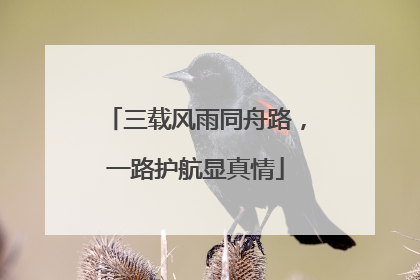 三载风雨同舟路，一路护航显真情