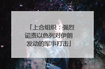 上合组织：强烈谴责以色列对伊朗发动的军事打击