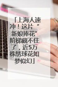 上海人速冲！这片“新娘捧花”阶梯藏不住了，近5万株绣球花如梦似幻