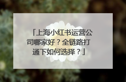 上海小红书运营公司哪家好？全链路打通下如何选择？