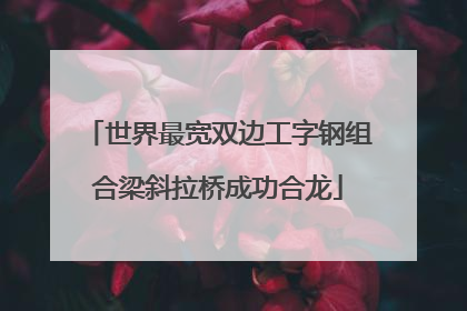 世界最宽双边工字钢组合梁斜拉桥成功合龙