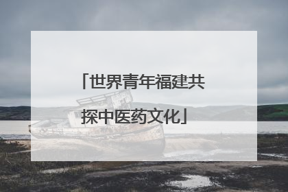 世界青年福建共探中医药文化