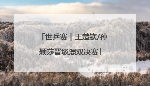 世乒赛｜王楚钦/孙颖莎晋级混双决赛