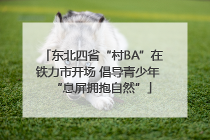 东北四省“村BA”在铁力市开场 倡导青少年“息屏拥抱自然”