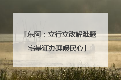 东阿：立行立改解难题 宅基证办理暖民心