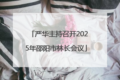 严华主持召开2025年邵阳市林长会议