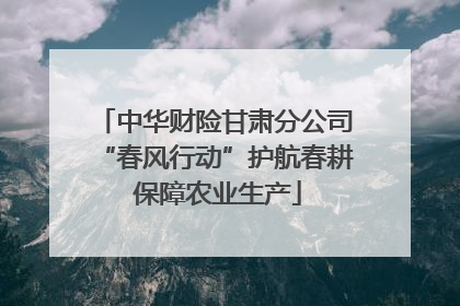 中华财险甘肃分公司“春风行动”护航春耕 保障农业生产
