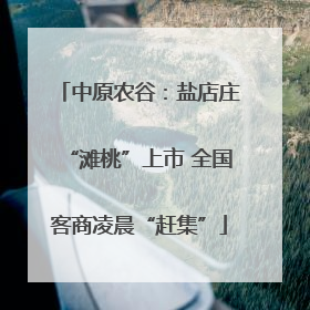中原农谷：盐店庄“滩桃”上市 全国客商凌晨“赶集”