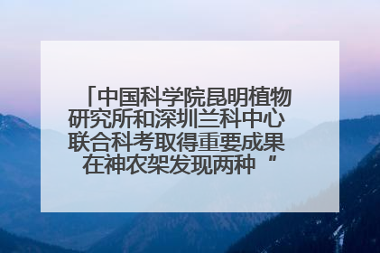 中国科学院昆明植物研究所和深圳兰科中心联合科考取得重要成果 在神农架发现两种“国保”级兰花