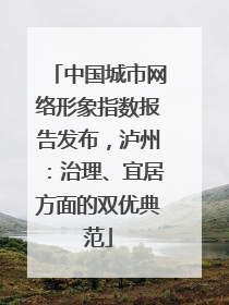 中国城市网络形象指数报告发布，泸州：治理、宜居方面的双优典范