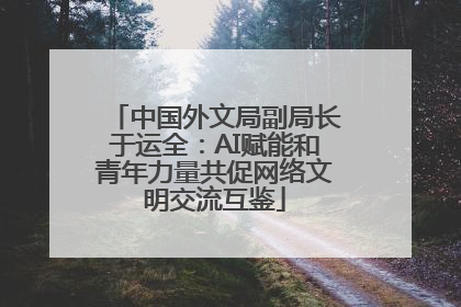 中国外文局副局长于运全：AI赋能和青年力量共促网络文明交流互鉴