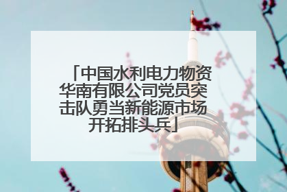 中国水利电力物资华南有限公司党员突击队勇当新能源市场开拓排头兵