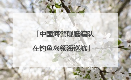 中国海警舰艇编队在钓鱼岛领海巡航