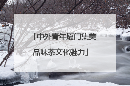 中外青年厦门集美品味茶文化魅力