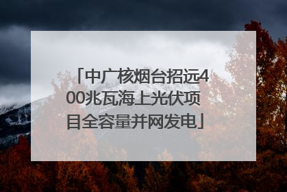 中广核烟台招远400兆瓦海上光伏项目全容量并网发电