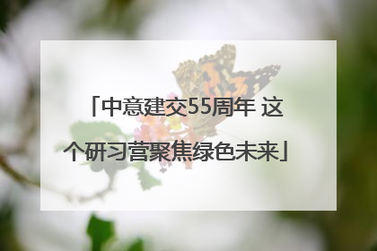 中意建交55周年 这个研习营聚焦绿色未来