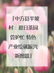 中方县半坡村：夏日茶园管护忙 特色产业绘就振兴新图景