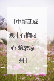 中新武威观｜石榴同心 筑梦凉州