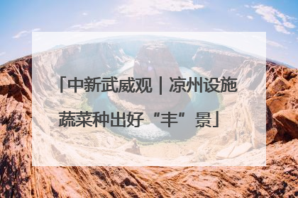 中新武威观｜凉州设施蔬菜种出好“丰”景