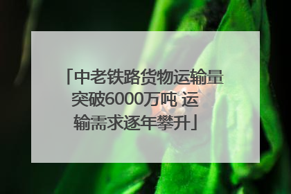 中老铁路货物运输量突破6000万吨 运输需求逐年攀升