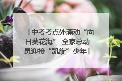 中考考点外涌动“向日葵花海” 全家总动员迎接“凯旋”少年