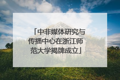 中非媒体研究与传播中心在浙江师范大学揭牌成立