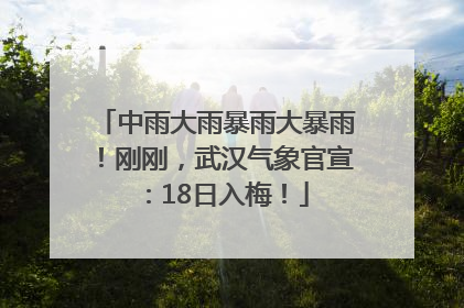 中雨大雨暴雨大暴雨！刚刚，武汉气象官宣：18日入梅！