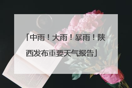 中雨！大雨！暴雨！陕西发布重要天气报告