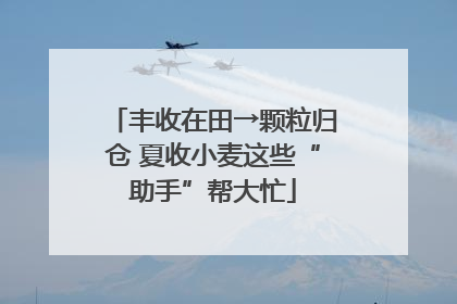 丰收在田→颗粒归仓 夏收小麦这些“助手”帮大忙