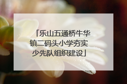 乐山五通桥牛华镇二码头小学夯实少先队组织建设