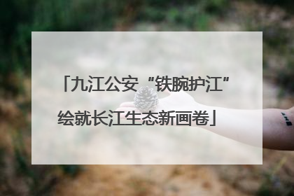 九江公安“铁腕护江”绘就长江生态新画卷