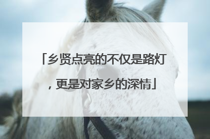 乡贤点亮的不仅是路灯，更是对家乡的深情