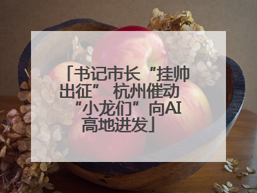 书记市长“挂帅出征” 杭州催动“小龙们”向AI高地进发
