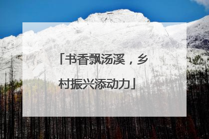 书香飘汤溪，乡村振兴添动力