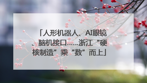 人形机器人、AI眼镜、脑机接口……浙江“硬核制造”乘“数”而上