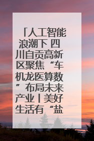 人工智能浪潮下 四川自贡高新区聚焦“车机龙医算数”布局未来产业丨美好生活有“盐”味