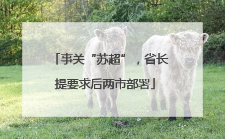 事关“苏超”，省长提要求后两市部署