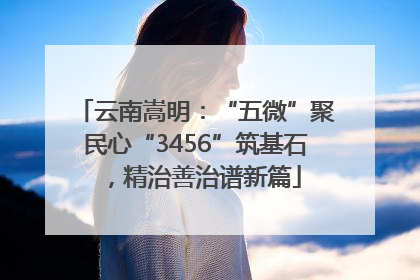 云南嵩明：“五微”聚民心“3456”筑基石，精治善治谱新篇