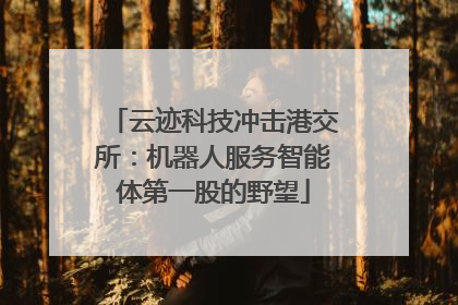 云迹科技冲击港交所：机器人服务智能体第一股的野望