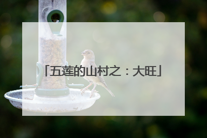 五莲的山村之：大旺