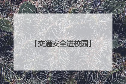 交通安全进校园