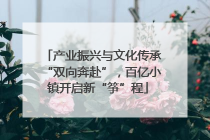 产业振兴与文化传承“双向奔赴”，百亿小镇开启新“筝”程